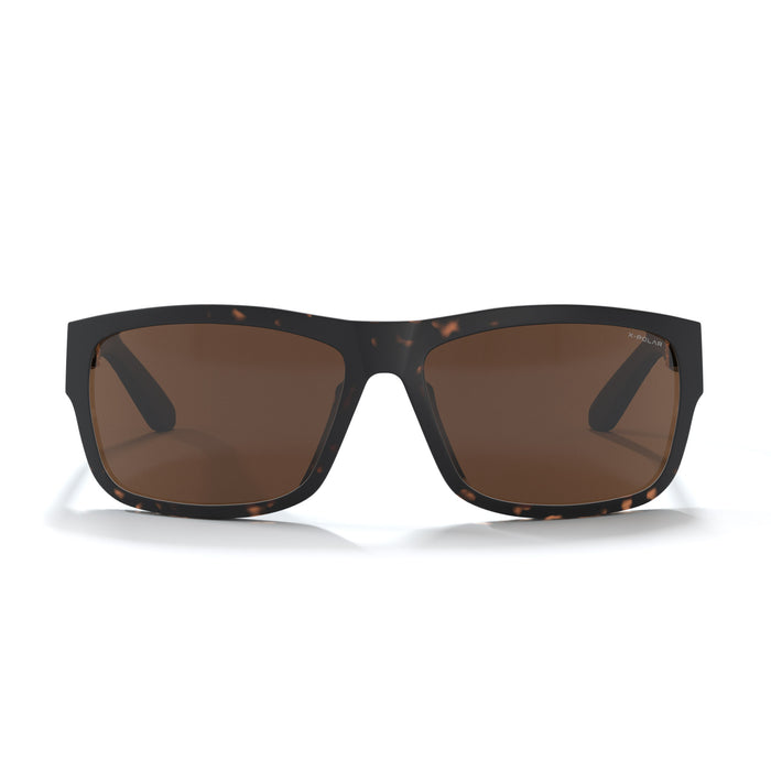 uller Alpine Black Tortoise / Brown Última moda