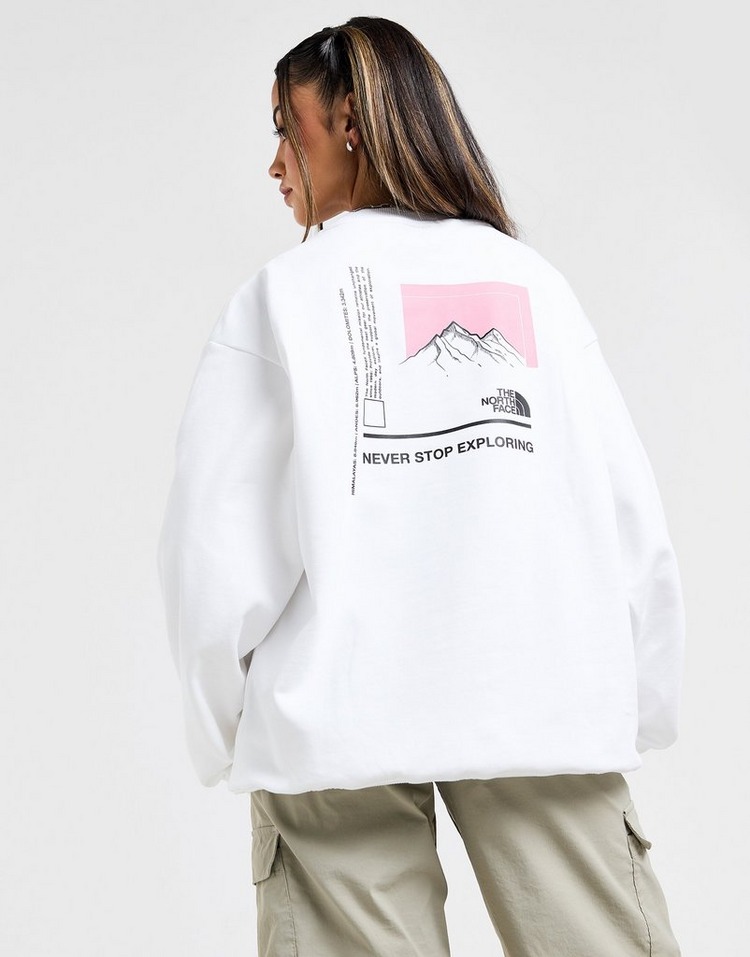 JD Sports The North Face Sudadera Mountain Box Logo Crew Grandes descuentos
