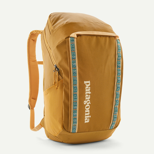 patagonia Black Hole® Pack 32L Liquidación