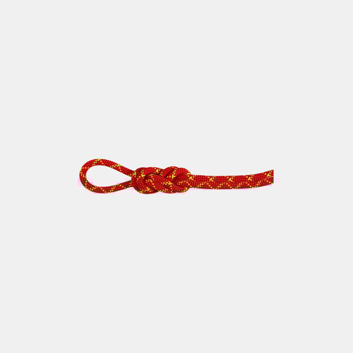 mammut 8.0 Alpine Core Protect Dry Rope 70m