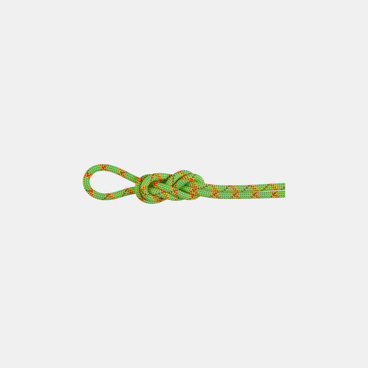 mammut 8.0 Alpine Core Protect Dry Rope 60m Tienda