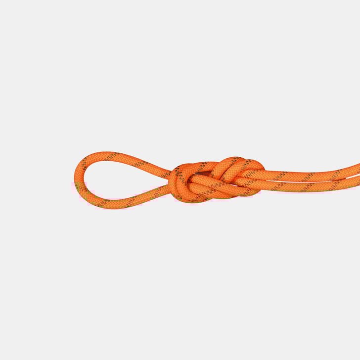 mammut 8.0 Alpine Dry Rope 70m 2025