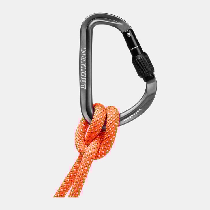 mammut Workhorse HMS Screwgate Carabiner Descuento por venta flash