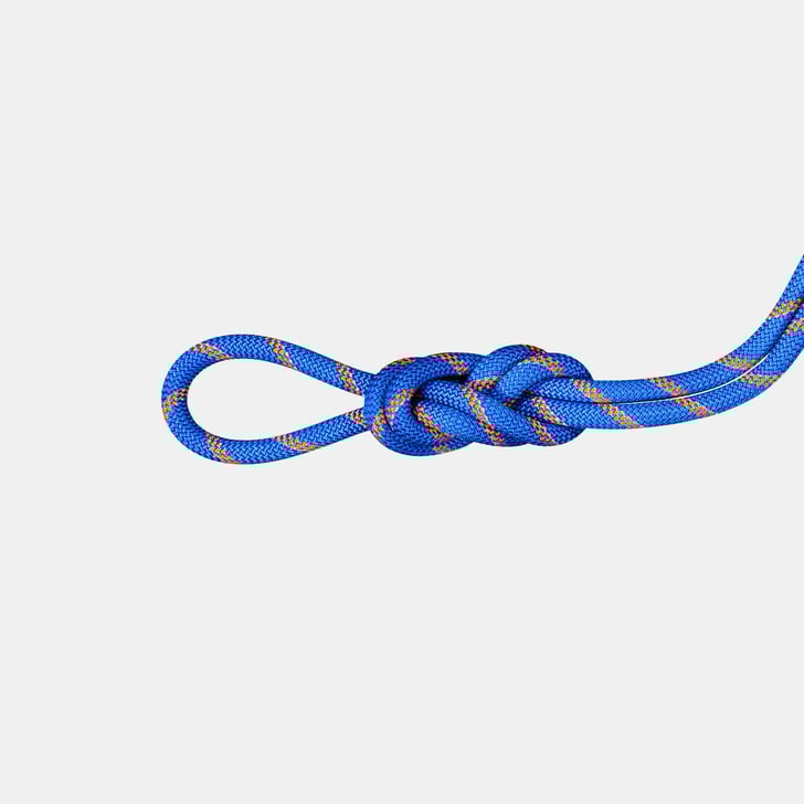 mammut 9.0 Alpine Sender Dry Rope 40m
