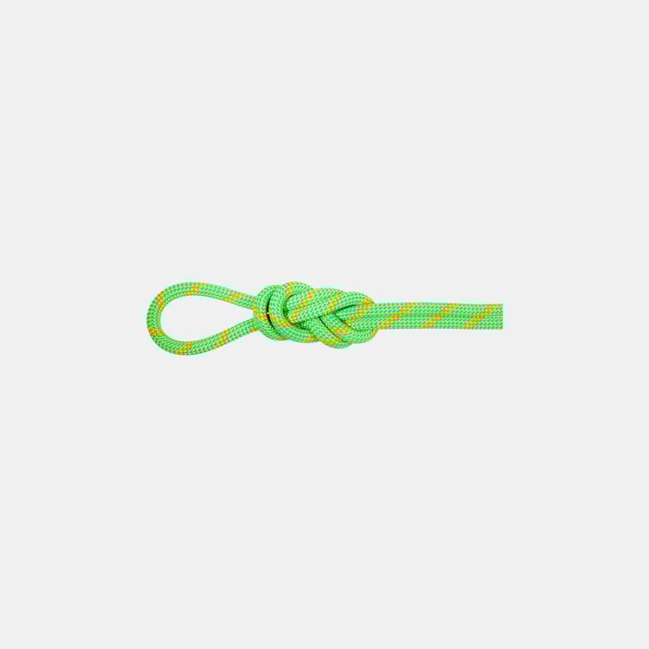 mammut 8.0 Alpine Eco Dry Rope 30m