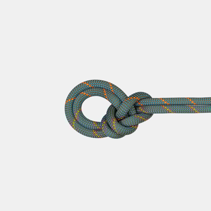 mammut 9.9 Crag Workhorse Dry Rope 70m