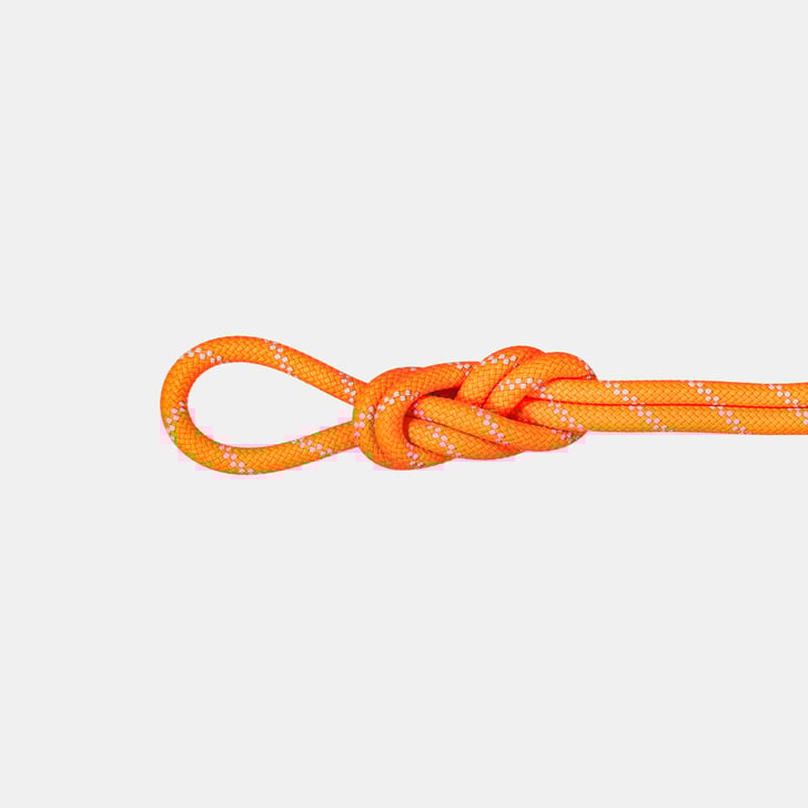 mammut 9.5 Alpine Dry Rope 50m Oferta exclusiva